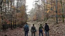 Metal Detecting 