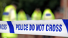 Criminology & Profiling